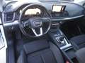 Audi Q5 Q5 2.0 TDI 190 CV quattro S tronic Business Sport Bianco - thumbnail 6