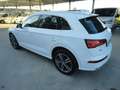 Audi Q5 Q5 2.0 TDI 190 CV quattro S tronic Business Sport Bianco - thumbnail 3