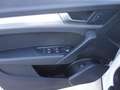 Audi Q5 Q5 2.0 TDI 190 CV quattro S tronic Business Sport Bianco - thumbnail 7
