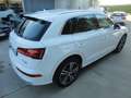 Audi Q5 Q5 2.0 TDI 190 CV quattro S tronic Business Sport Bianco - thumbnail 4
