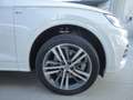 Audi Q5 Q5 2.0 TDI 190 CV quattro S tronic Business Sport Bianco - thumbnail 5