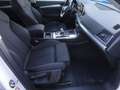 Audi Q5 Q5 2.0 TDI 190 CV quattro S tronic Business Sport Bianco - thumbnail 15