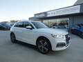 Audi Q5 Q5 2.0 TDI 190 CV quattro S tronic Business Sport Bianco - thumbnail 1