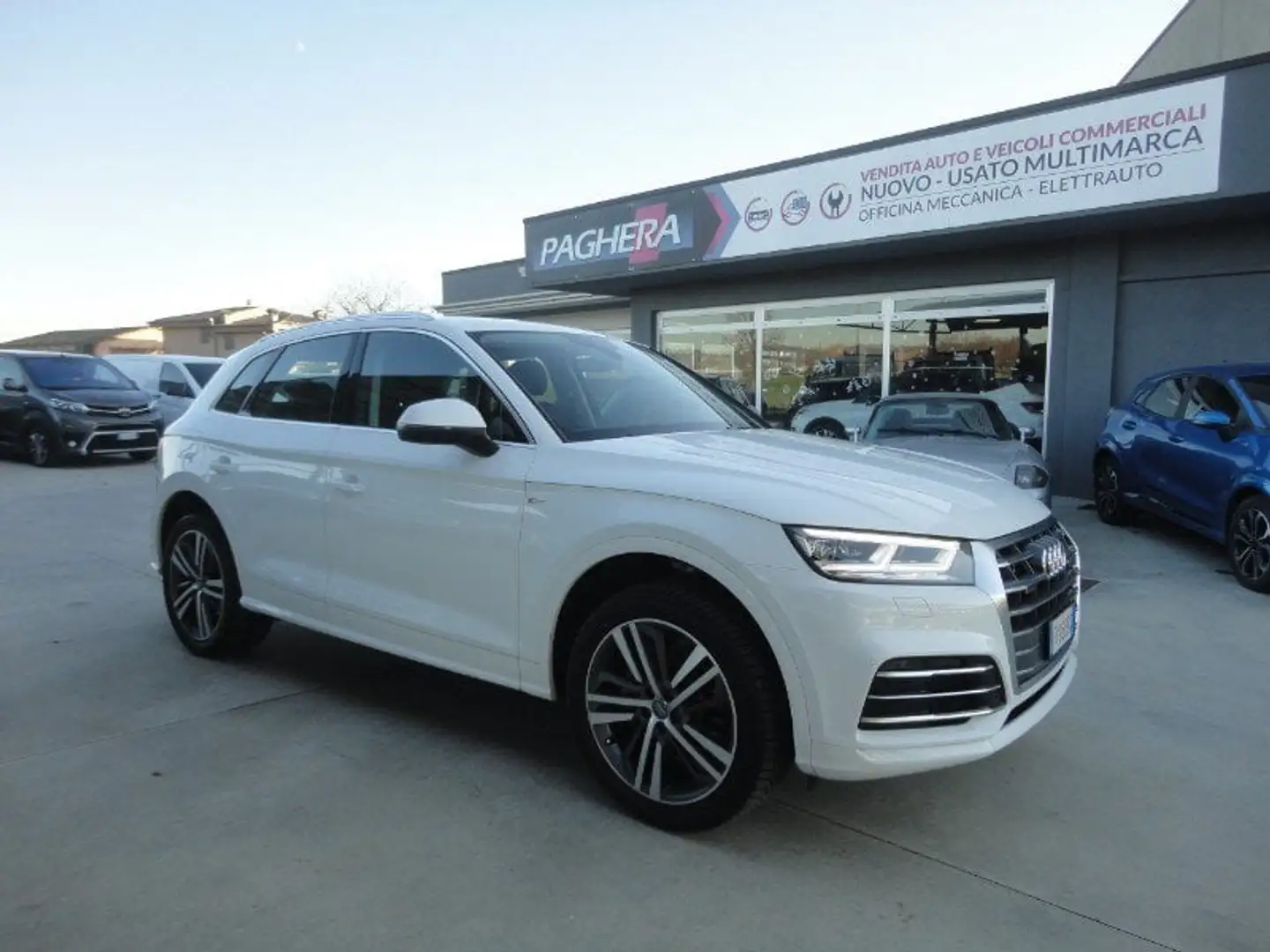 Audi Q5 Q5 2.0 TDI 190 CV quattro S tronic Business Sport Bianco - 1