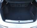 Audi Q5 Q5 2.0 TDI 190 CV quattro S tronic Business Sport Bianco - thumbnail 13