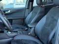 Ford Kuga Plug-In Hybrid ST-Line X Grau - thumbnail 10