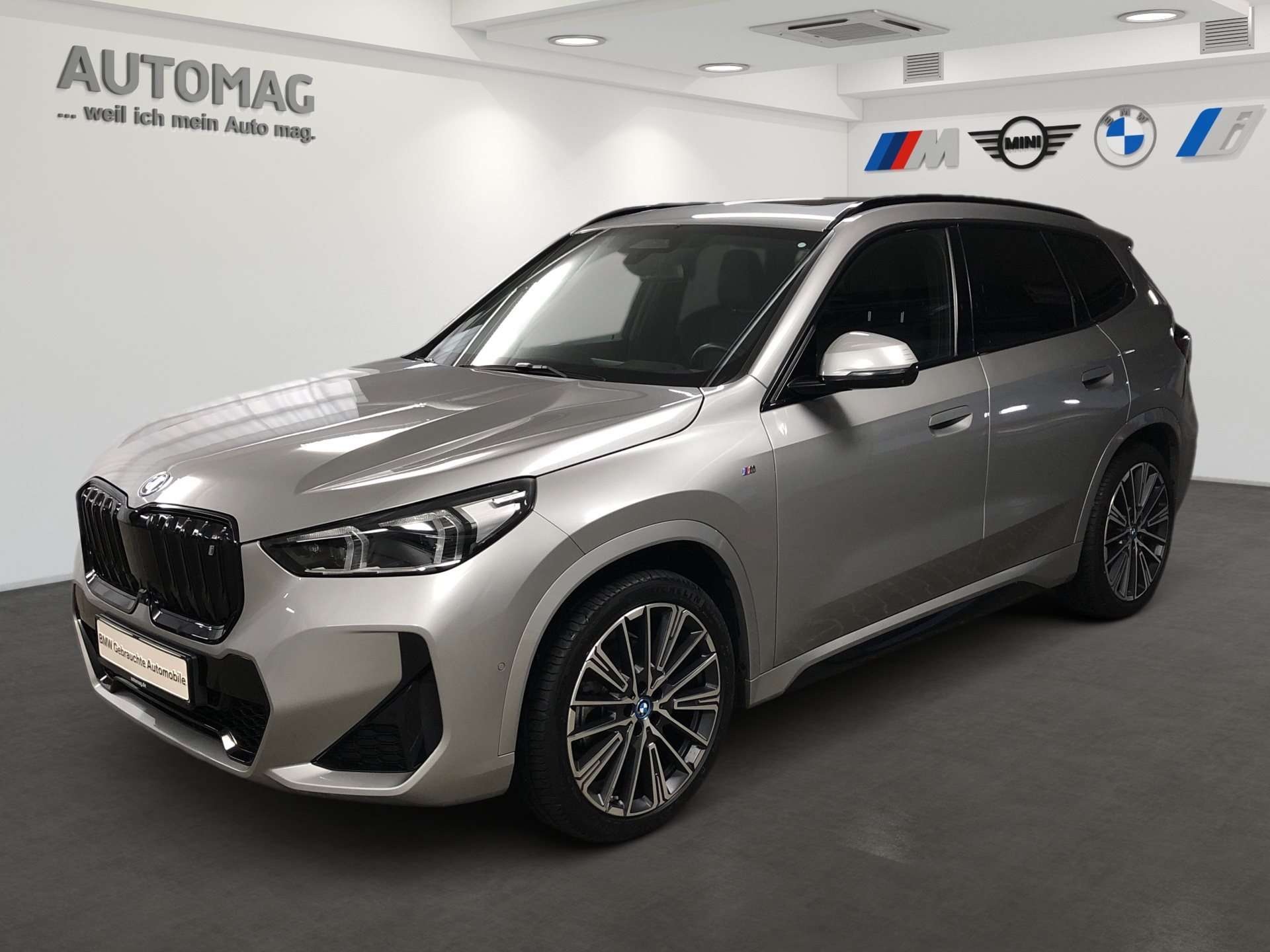 BMW iX