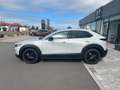 Mazda CX-30 2.5L e-SKYACTIV G 140ps Blanc - thumbnail 8