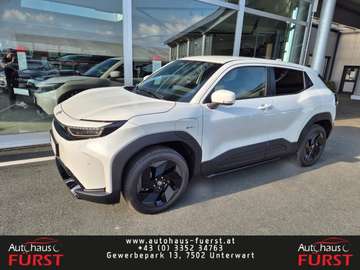 BEV 4x2 Teamplayer 128kW