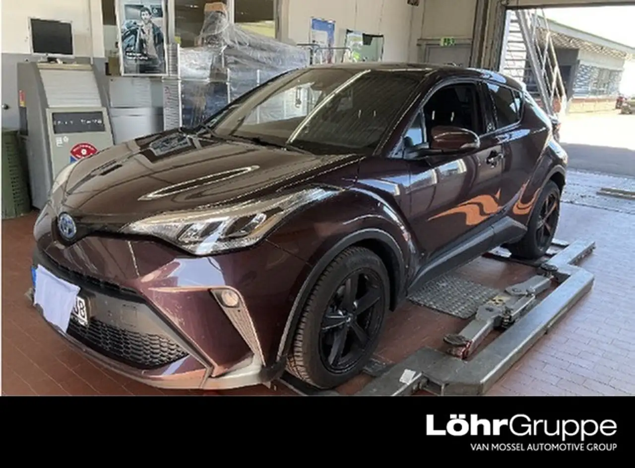 Toyota C-HR Hybrid Team D