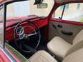 Volkswagen Maggiolino - thumbnail 5