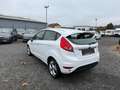 Ford Fiesta Titanium/TÜV NEU Blanco - thumbnail 6