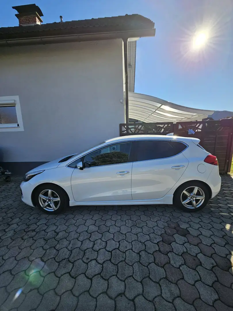 Kia Ceed / cee'd cee'd 1,6 CRDi ISG GT-Line GT-Line Weiß - 1