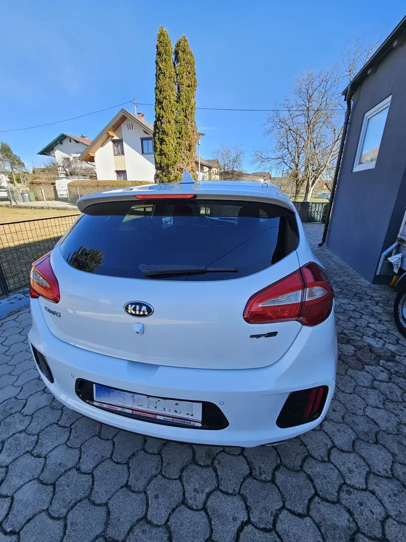 Kia Ceed / cee'd cee'd 1,6 CRDi ISG GT-Line GT-Line Weiß - 2