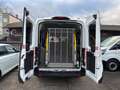 Ford Transit 350 L3 el. Rollstuhllift / el. Schwerlastbeladung Weiß - thumbnail 7