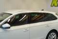 Skoda Octavia Combi 2.0 TDI "AHK*LED*SITZH*ACC" Weiß - thumbnail 12