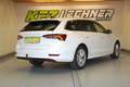Skoda Octavia Combi 2.0 TDI "AHK*LED*SITZH*ACC" Weiß - thumbnail 4