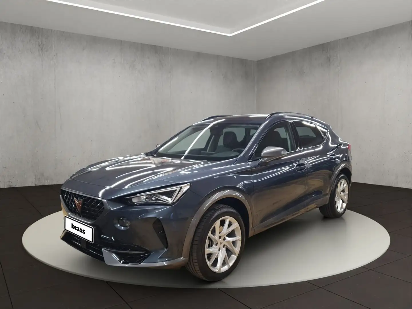 CUPRA Formentor . Gris - 1
