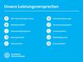 Volkswagen Golf GOAL 2.0 TDI DSG ACC AHK RFK NAVI CARPLAY Gris - thumbnail 4