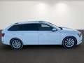Skoda Superb Style Weiß - thumbnail 5