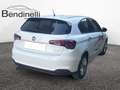 Fiat Tipo Tipo 1.4 T-Jet 120CV GPL 4 porte Easy Blanc - thumbnail 5