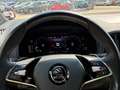 Skoda Karoq Karoq 2,0 TDI 4x4 DSG Sportline Weiß - thumbnail 12