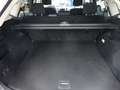 Ford Edge 210PS Bi-Turbo 4x4 ST-Line Sport LED Navi Weiß - thumbnail 14