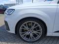 Audi SQ7 V8 TDI quattro MATRIX LUFT PANO STH HUD ACC Weiß - thumbnail 12