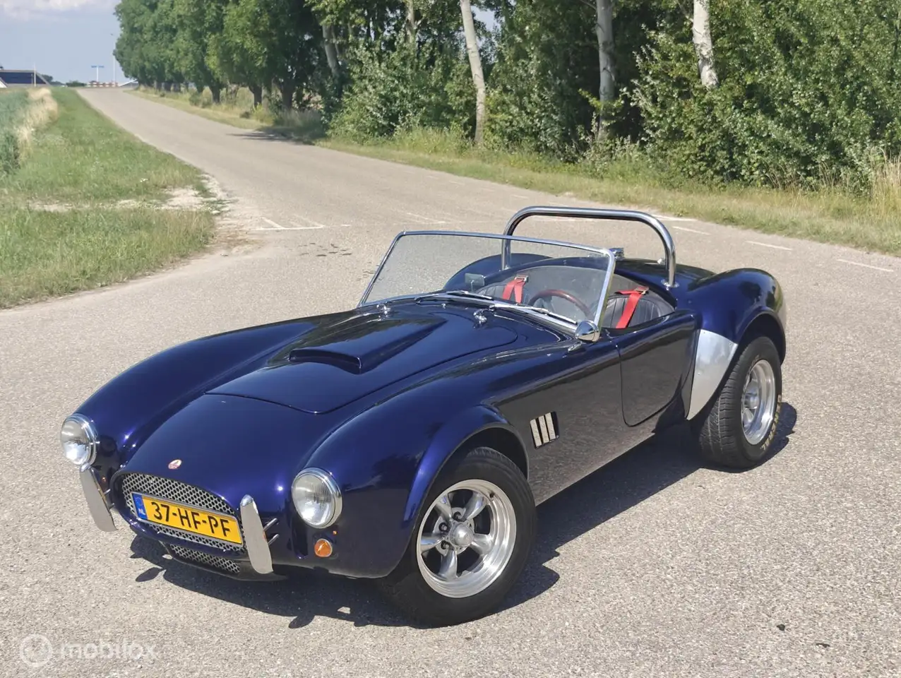 AC Cobra Pilgrim replica 2.9 v6, foto 3