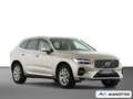 Volvo XC60 T6 Plus Bright Plug-In Hybrid AWD/H&K/360 Grau - thumbnail 7