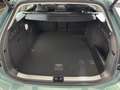 Volkswagen Passat Variant Business TDI DSG Grün - thumbnail 15