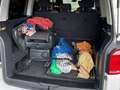 Volkswagen T5 Multivan Outdoor Corto 2.0 TDI 110kW BMT DSG Weiß - thumbnail 14