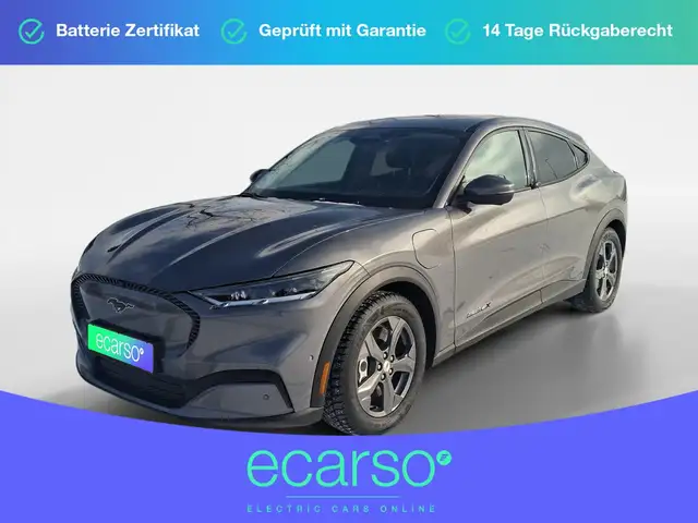 Ford Mustang Mach-E Basis