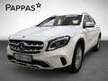 Mercedes-Benz GLA 200 d 4MATIC Cam PTS Navi LED SHZ EASY-PACK Wit - thumbnail 1