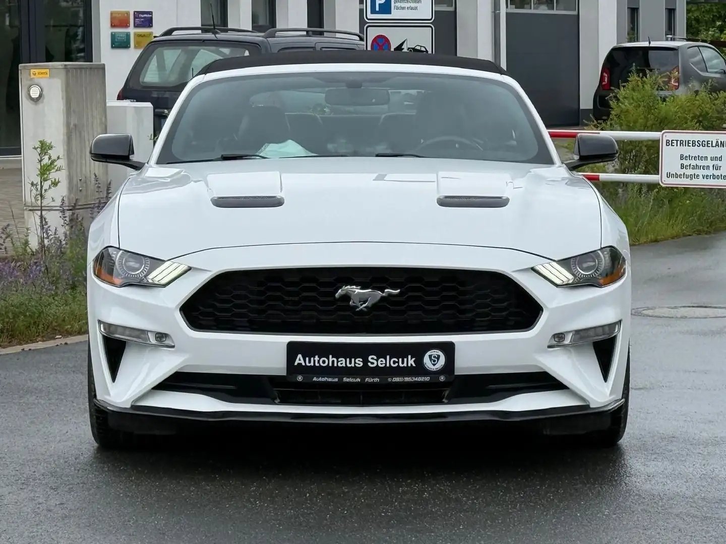 Ford Mustang Cabrio *SHZ*Navi*SBL*Kamera*19-zoll* Fehér - 2