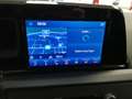 Ford Tourneo Courier 1,0 EcoBoost Active Grün - thumbnail 10