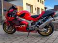 Honda VTR 1000 Sp1 Rouge - thumbnail 10