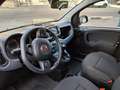 Fiat Panda Panda 1.0 firefly hybrid Cross s Verde - thumbnail 4