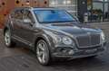 Bentley Bentayga V8 Diesel *4 SEAT*REAR-ENT*MASSAGE*VOLL Gris - thumbnail 4