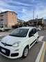 Fiat Panda - thumbnail 2