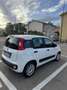 Fiat Panda - thumbnail 11