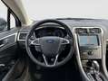 Ford Mondeo Turnier 2.0 EcoBoost Start-Stopp Autom. Vig Grau - thumbnail 15