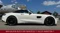 Mercedes-Benz AMG GT / GTC  Roadster Cabrio Weiß - thumbnail 3