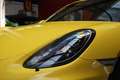 Porsche Cayman GT4 3.8 | Clubsport Package | PPF Geel - thumbnail 38