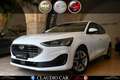 Ford Focus Focus V 2022 1.5 ecoblue Business 120cv auto Bianco - thumbnail 1
