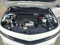 Opel Astra Edition Mild-Hybrid Automatik Keyless Start Kamera Weiß - thumbnail 14