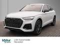 Audi Q5 Sportback 55 TFSIe S line Sport edition Weiß - thumbnail 1