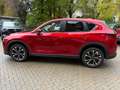 Mazda CX-5 SKYACTIV-G 194 AT Ad'vantage BEAR-LOCK Rojo - thumbnail 16
