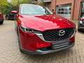 Mazda CX-5 SKYACTIV-G 194 AT Ad'vantage BEAR-LOCK Rojo - thumbnail 5