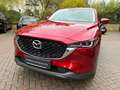 Mazda CX-5 SKYACTIV-G 194 AT Ad'vantage BEAR-LOCK Rojo - thumbnail 4